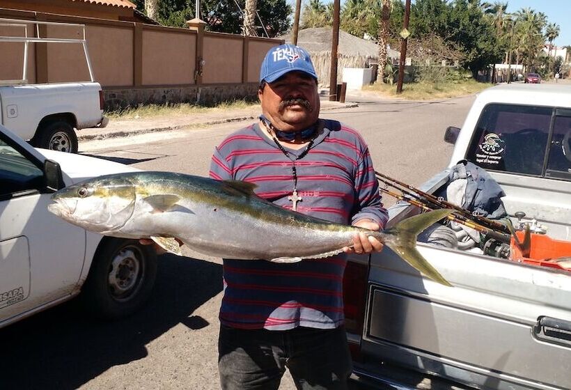 فندق Loreto Playa Boutique