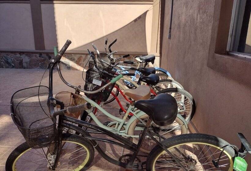 فندق Loreto Playa Boutique