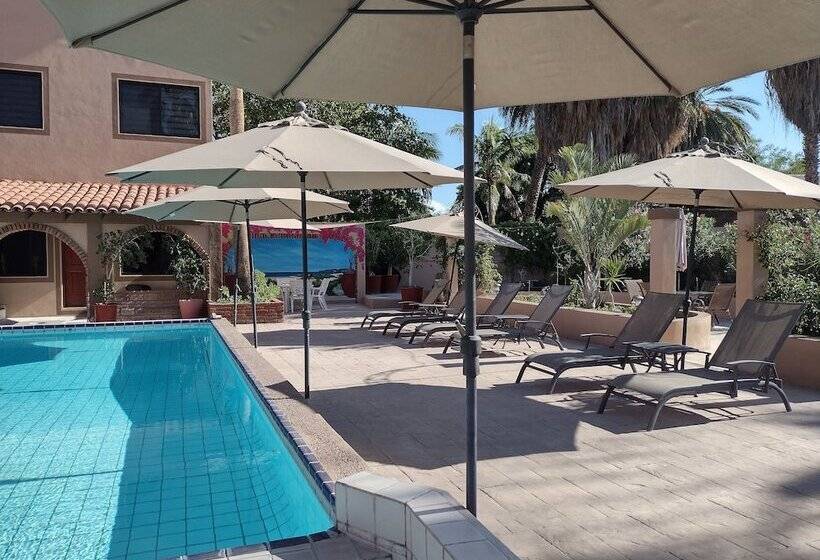 فندق Loreto Playa Boutique