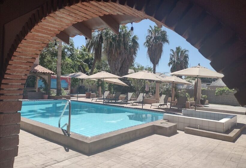 فندق Loreto Playa Boutique