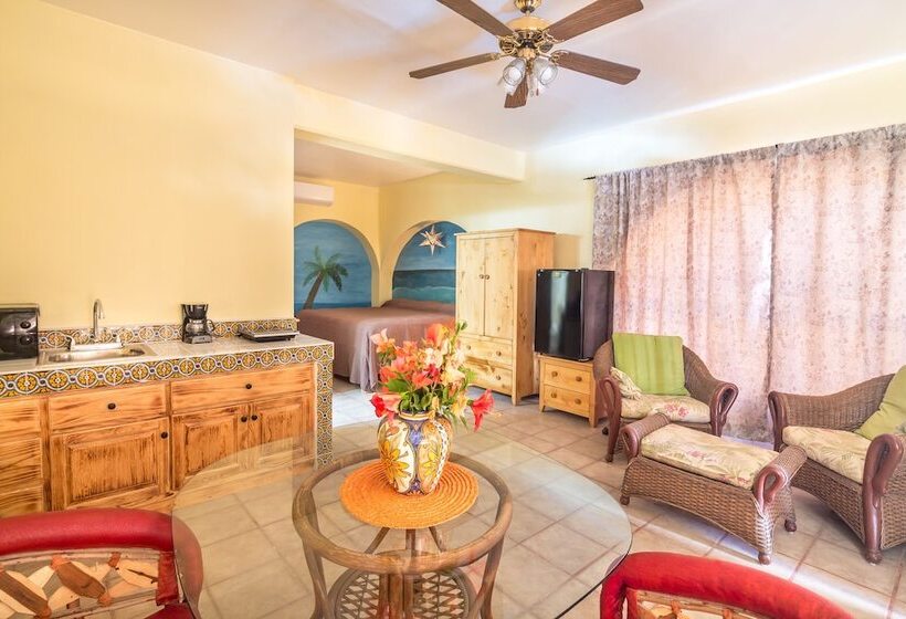 فندق Loreto Playa Boutique