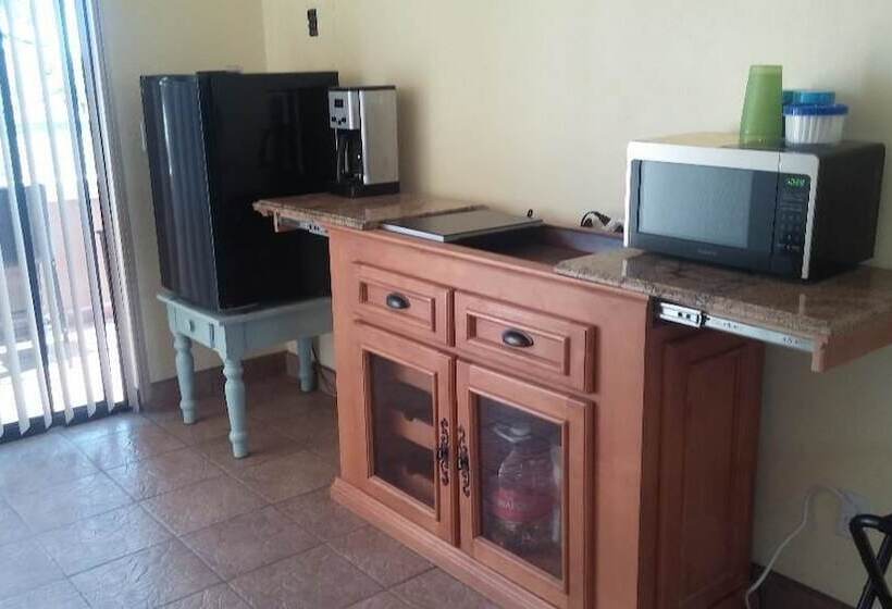 فندق Loreto Playa Boutique