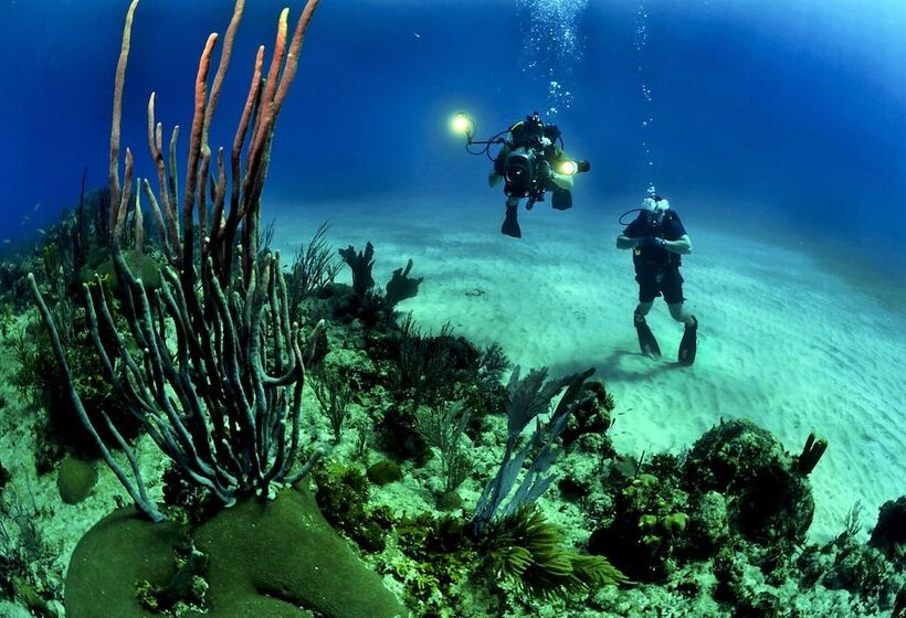 هتل Maestral Resort & Casino