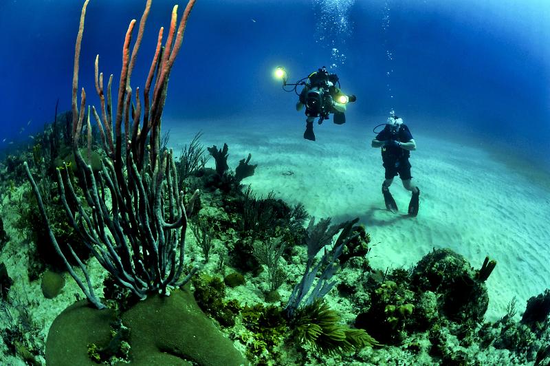 هتل Maestral Resort & Casino