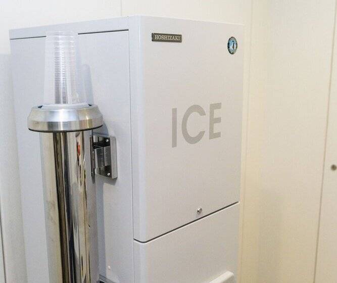 בית מלון כפרי Nishitetsu Resort Inn Naha