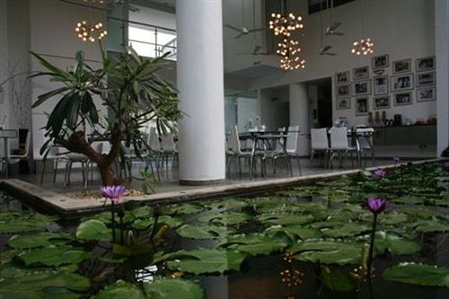 酒店 Purple Lotus