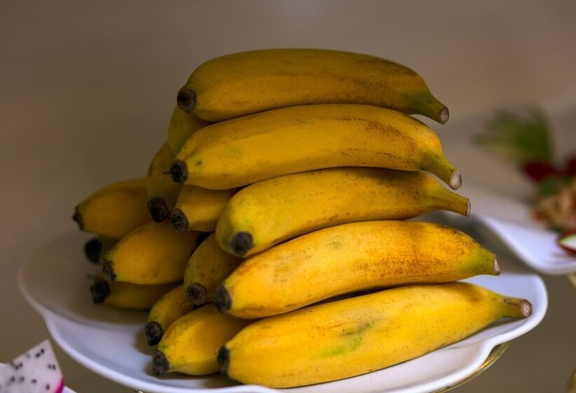 هتل Royal Holiday Hanoi