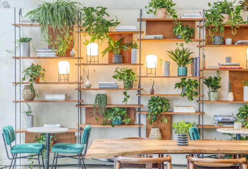 فندق Alameda Highline