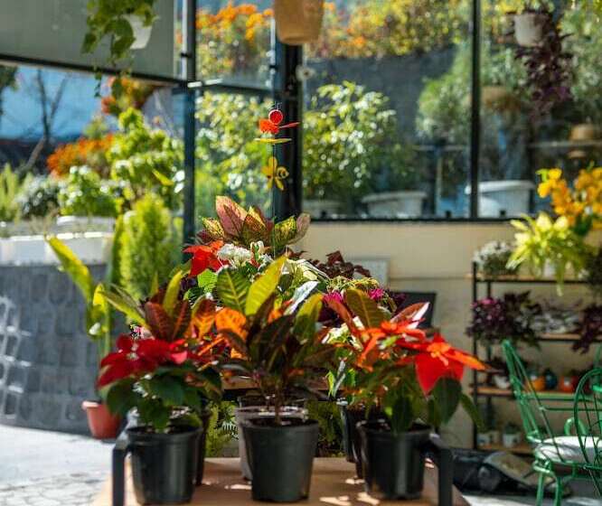 בית מלון כפרי Shervani Hilltop Nainital