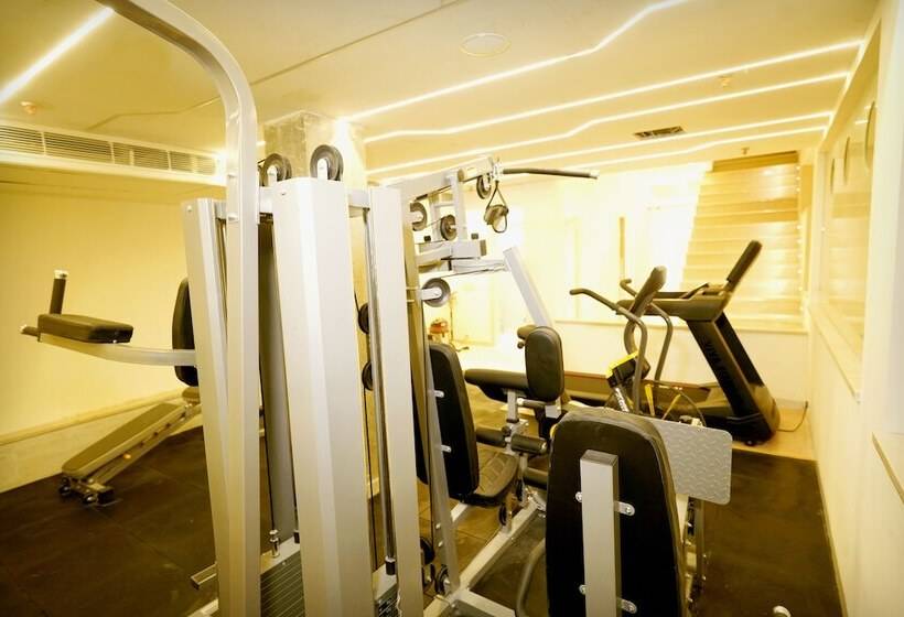 Отель The Singh Empire, New Delhi