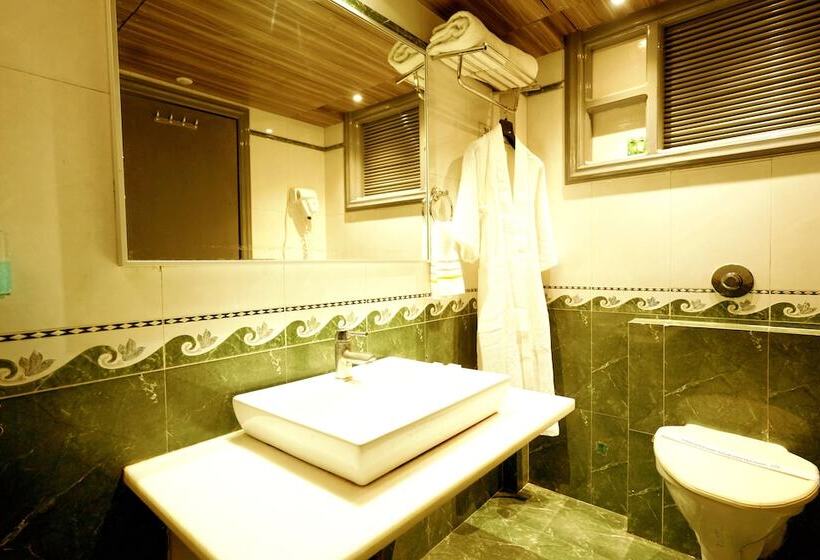 Отель The Singh Empire, New Delhi