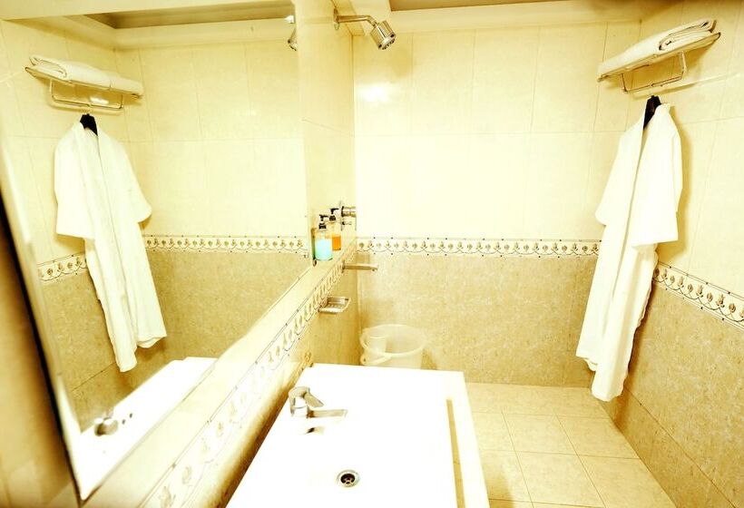 Отель The Singh Empire, New Delhi