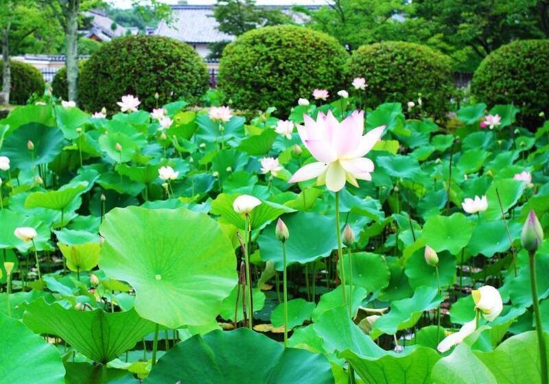 ホテル Sun Members Kyoto Saga