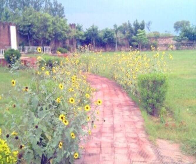 فندق The New Swaraj Resort