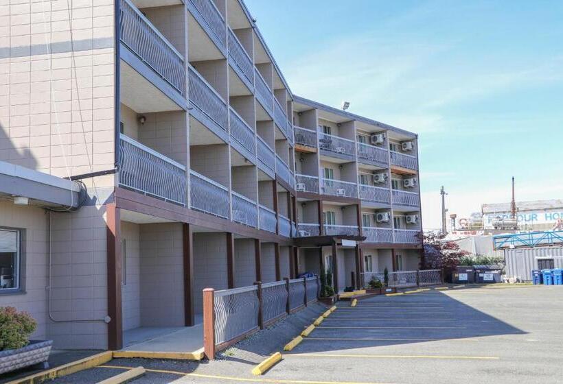 בית מלון כפרי The Waterfront Suites And Marina