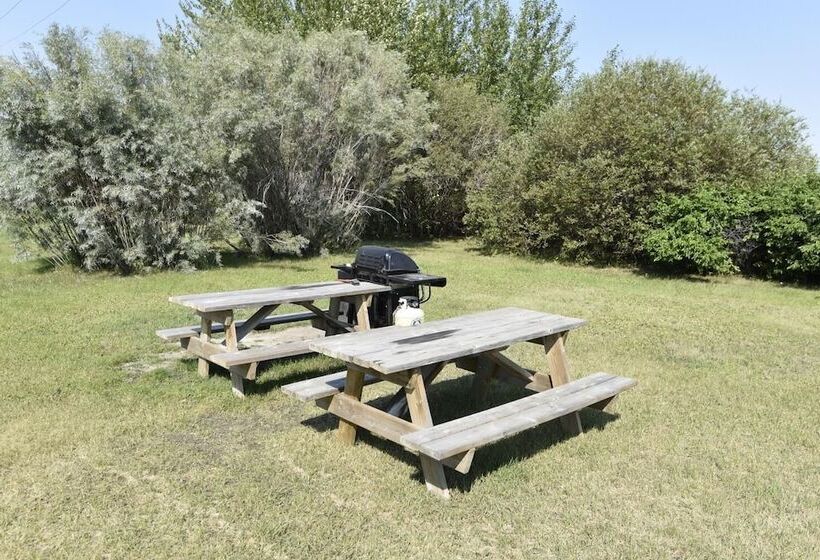בית מלון כפרי Tropical Inn  North Battleford
