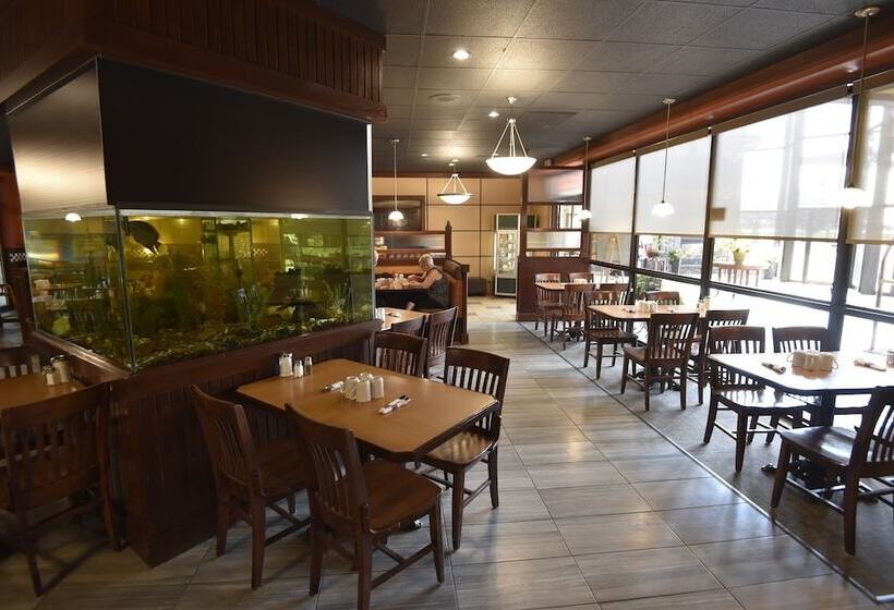 בית מלון כפרי Tropical Inn  North Battleford