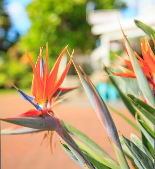 Kerikeri Court Motel