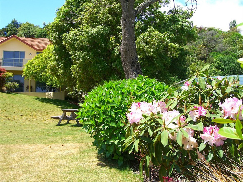 مُتل Abelia Motor Lodge