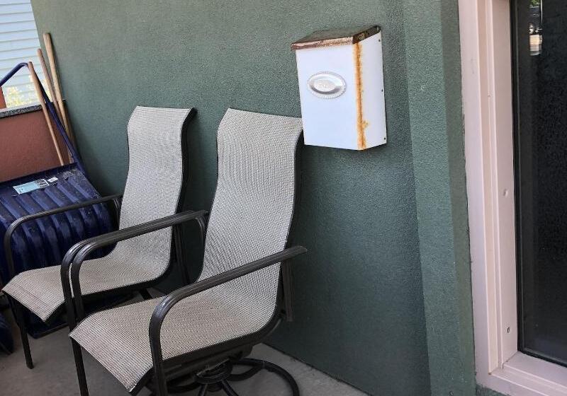 汽车旅馆  Budget Lodge