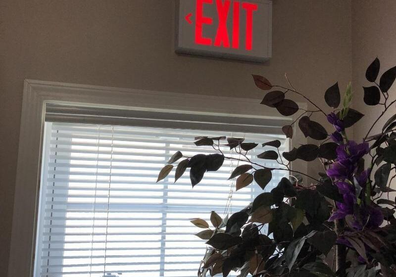 汽车旅馆  Budget Lodge