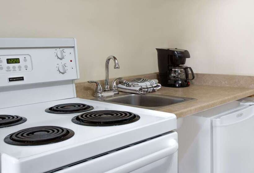 汽车旅馆 Super 8 By Wyndham Kingston