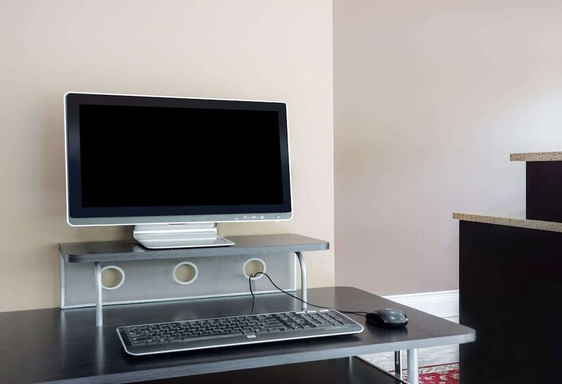 汽车旅馆 Super 8 By Wyndham Kingston