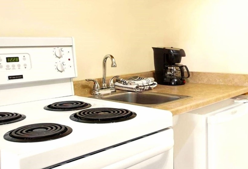 汽车旅馆 Super 8 By Wyndham Kingston