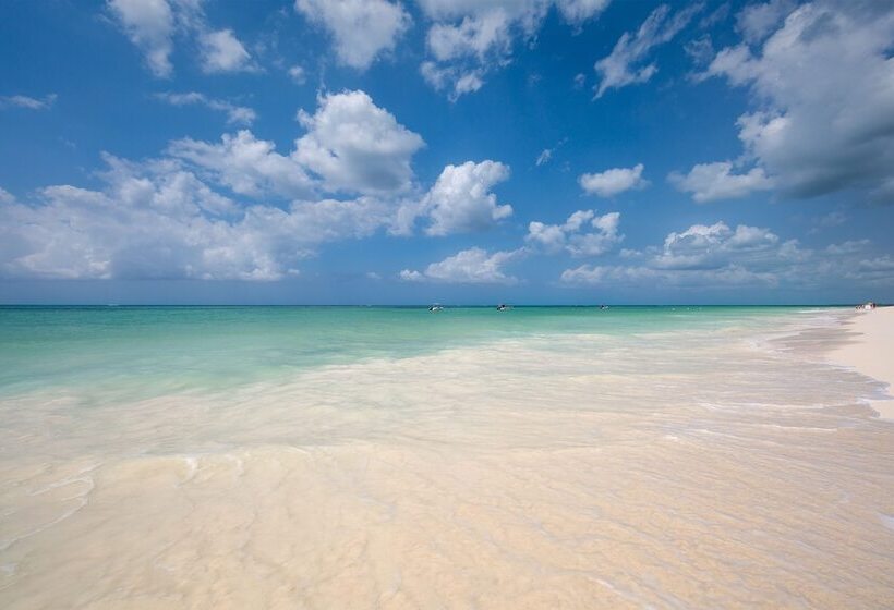 Next Paradise Boutique Resort