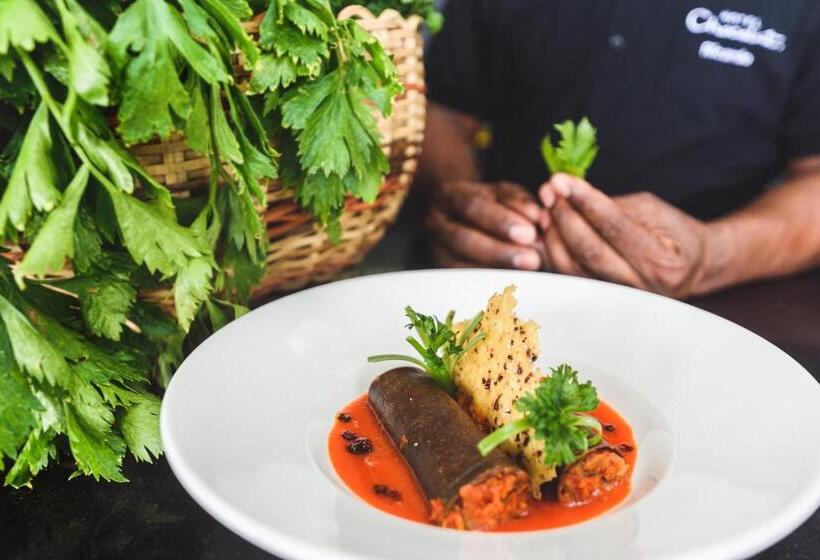 Rabot Hotel From Hotel Chocolat