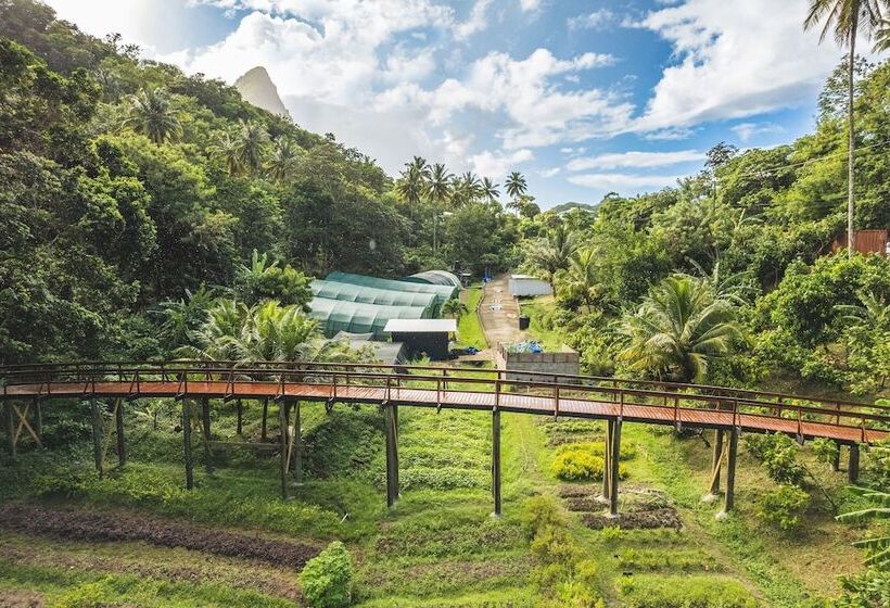 Rabot Hotel From Hotel Chocolat