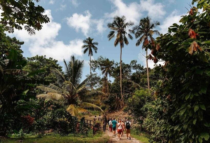 Rabot Hotel From Hotel Chocolat