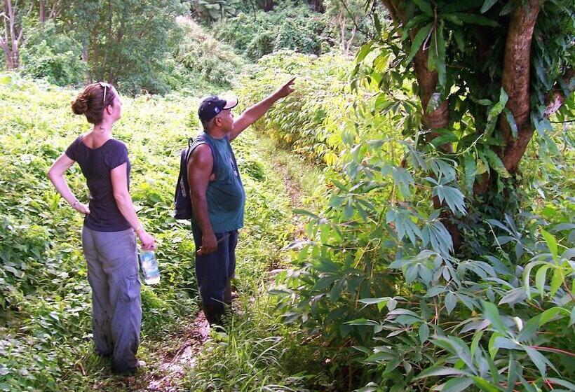 منتجع Matava   Fiji...untouched