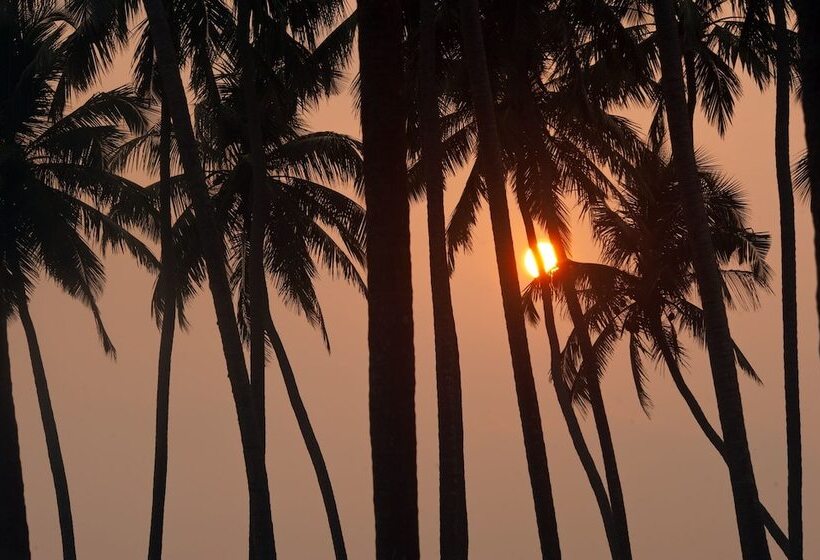 리조트 Reef Villa