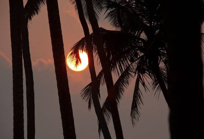 리조트 Reef Villa