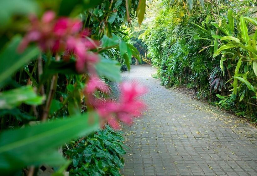 리조트 Reef Villa