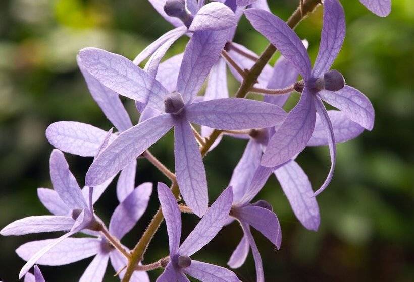 리조트 Reef Villa