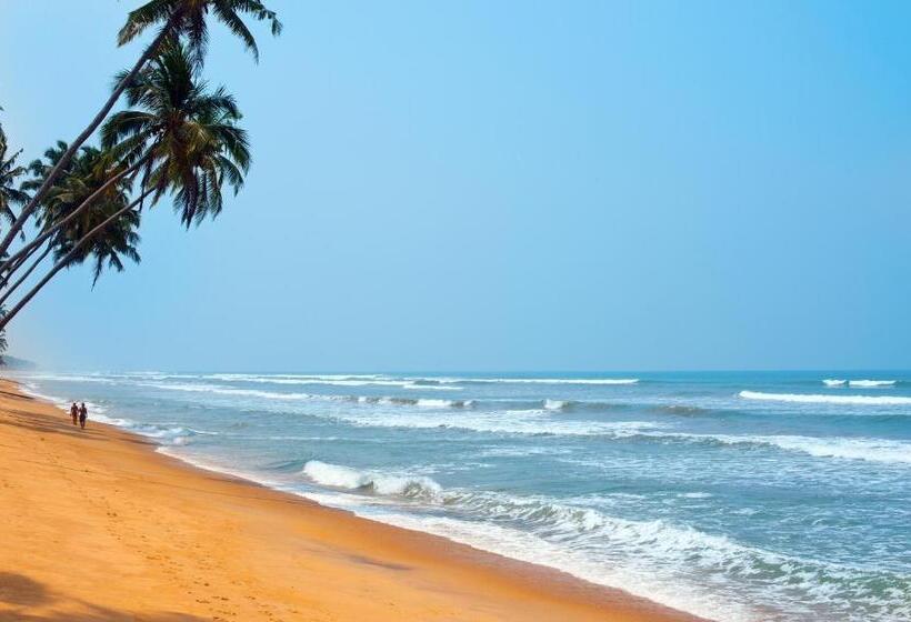 리조트 Reef Villa