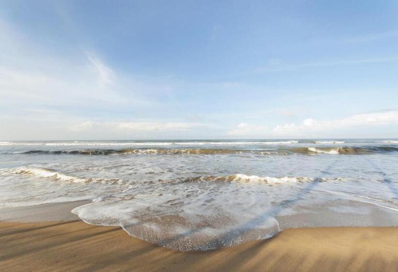 리조트 Reef Villa