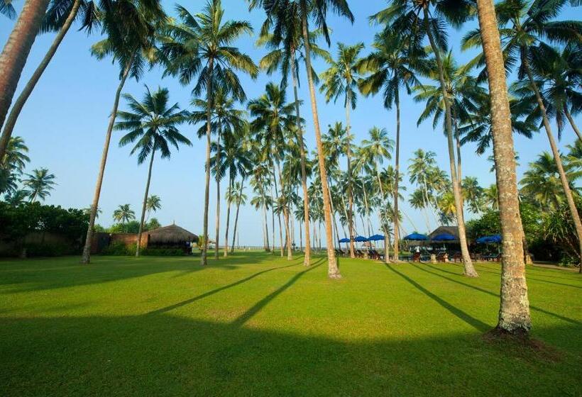 리조트 Reef Villa