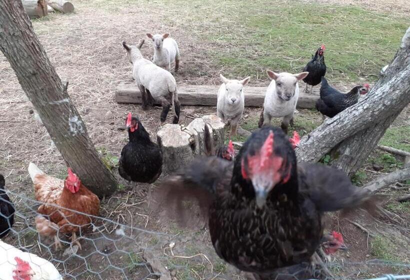 住宿加早餐  The Byre North End Farm