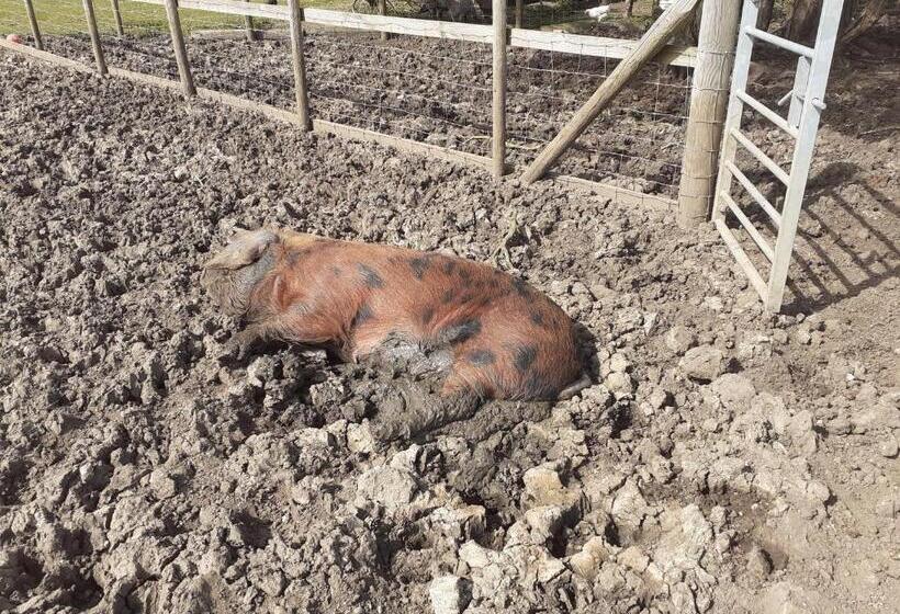 צימר The Byre North End Farm