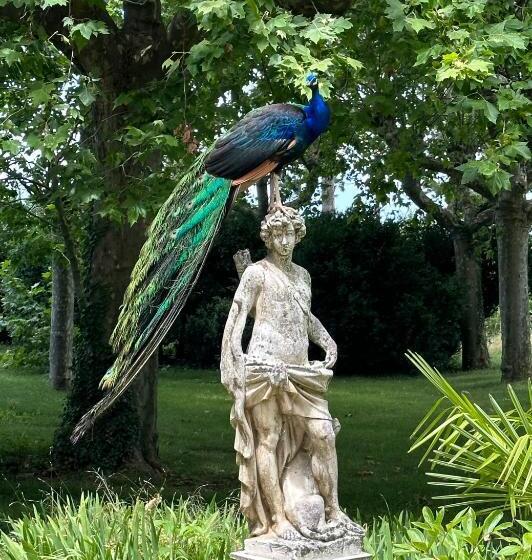 Bed and Breakfast Chateau De Vaugelas   Charmant Domaine Près De Valence