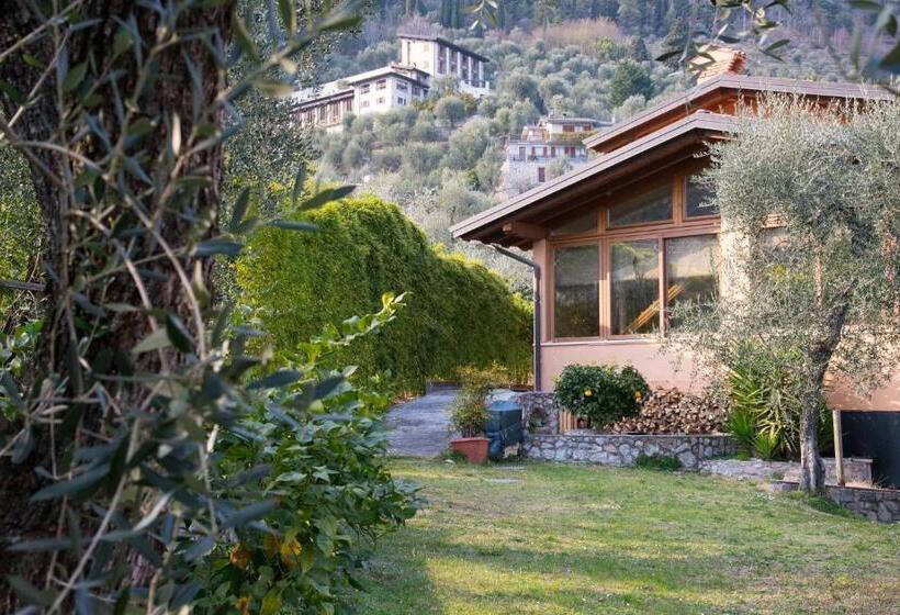 مبيت وإفطار Guesthouse Villa Tamas