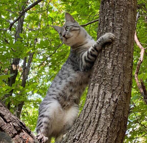 צימר Iduevagamondi   Ospitalità Rurale Famigliare Di Montagna