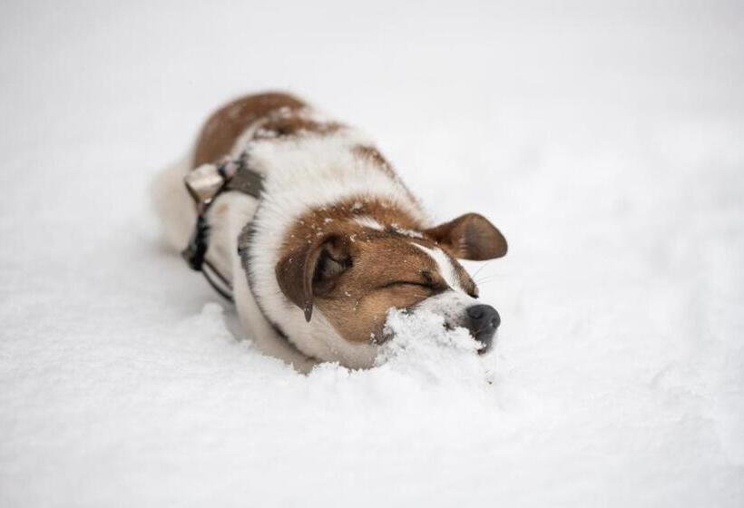 צימר Iduevagamondi   Ospitalità Rurale Famigliare Di Montagna