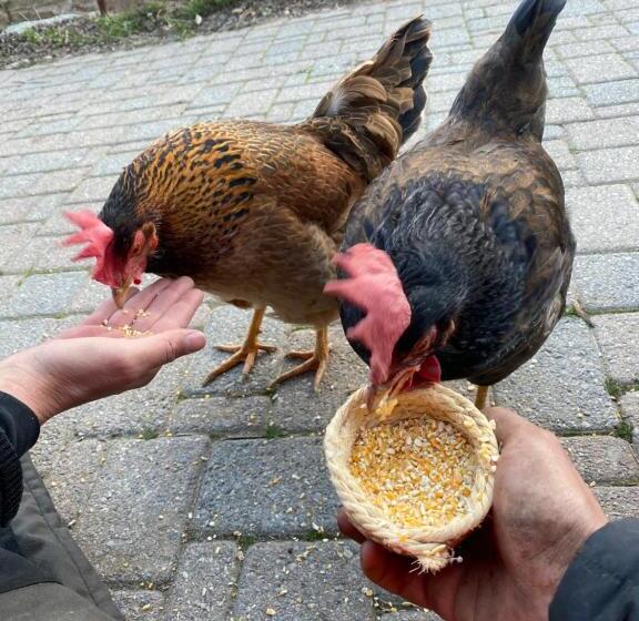 צימר Iduevagamondi   Ospitalità Rurale Famigliare Di Montagna