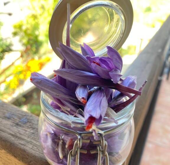 צימר Iduevagamondi   Ospitalità Rurale Famigliare Di Montagna