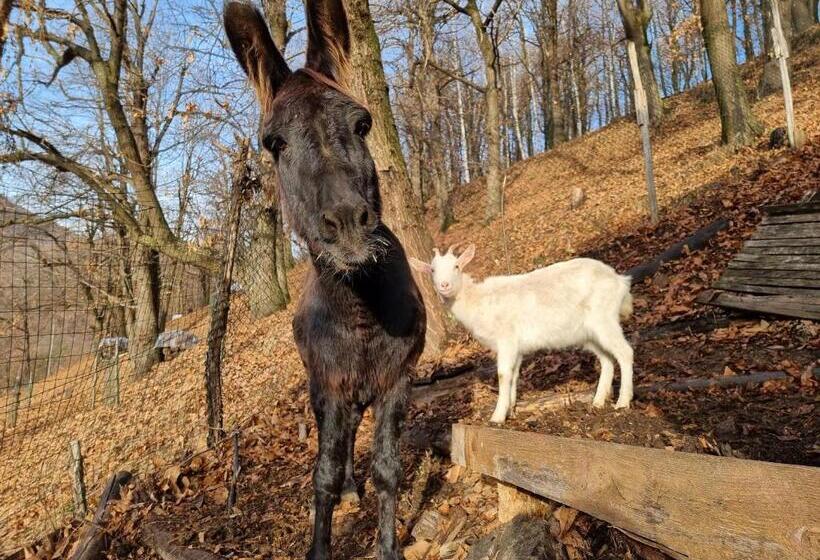 צימר Iduevagamondi   Ospitalità Rurale Famigliare Di Montagna