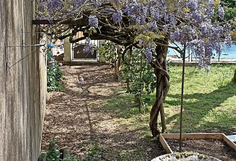 펜션 La Grande Maison Mazamet